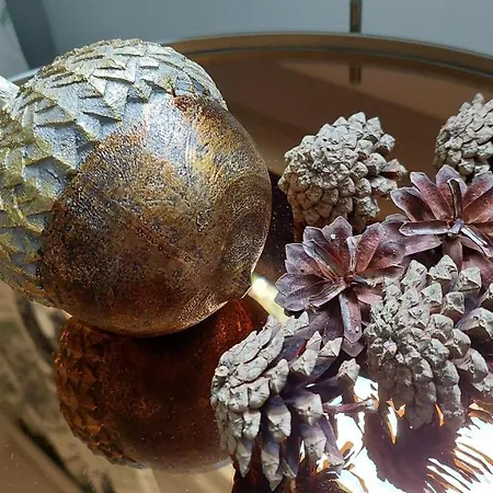 Aliisa's Ii Apartment